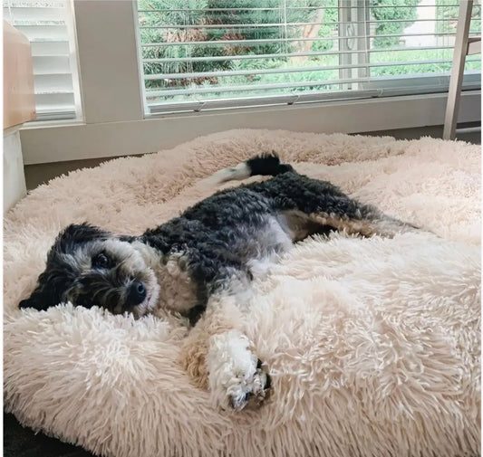 MrFluffyFriend Anxiety Relieving Dog Bed